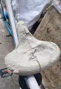 英德共享单车最新爆料,揭秘行业最新爆料与未来趋势 第1张 英德共享单车最新爆料,揭秘行业最新爆料与未来趋势 第1张