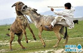 八卦大驴爆料视频播放,揭秘视频播放背后的秘密 第3张 八卦大驴爆料视频播放,揭秘视频播放背后的秘密 第3张